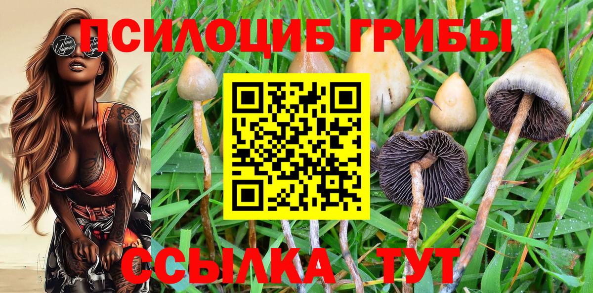 Галлюциногенные грибы Psilocybe  Вход с VPN  Первоуральск 