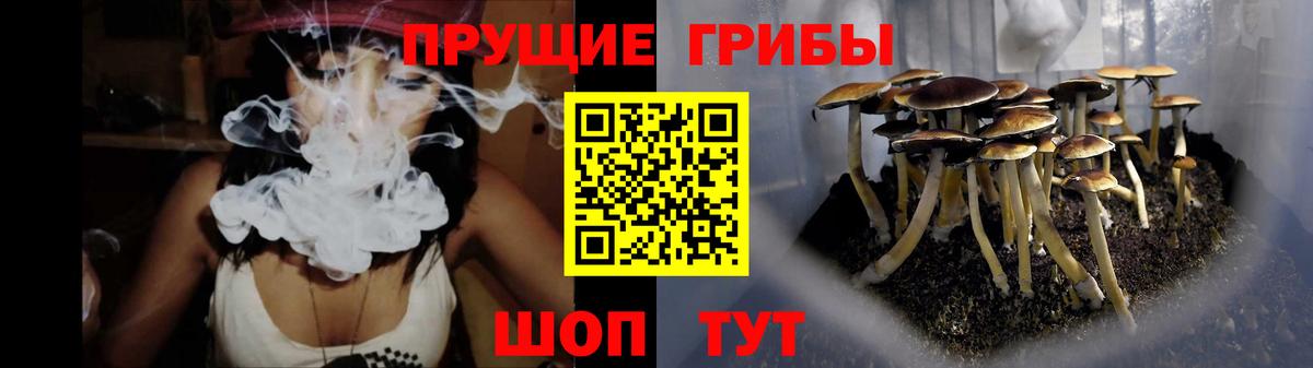 Галлюциногенные грибы GOLDEN TEACHER Первоуральск